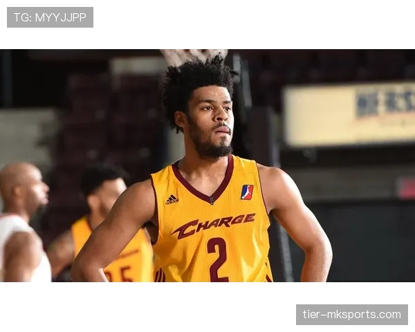 戴维斯进攻威胁指数 戴维斯进攻威胁指数