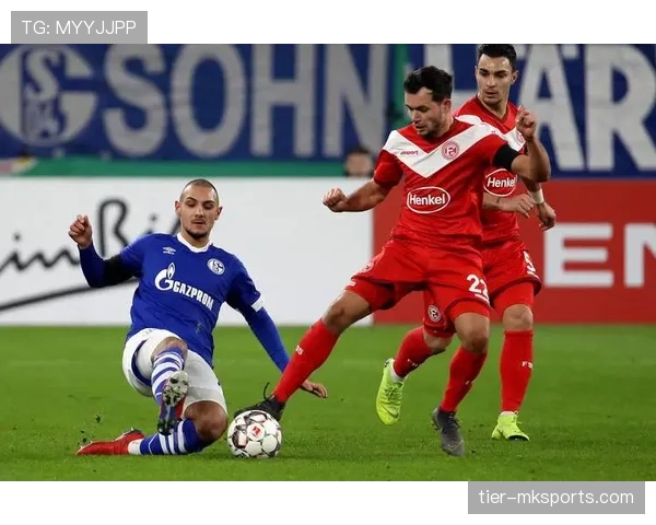 韦阿进球数据解析